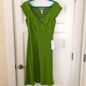 NWT Spring Green Silk Dress from J. Crew